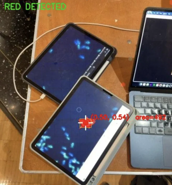 Screen Mosaic image