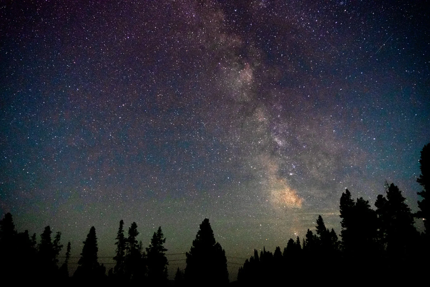A photograph by Micah Lai