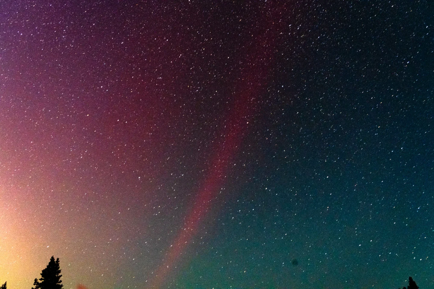 A photograph by Micah Lai