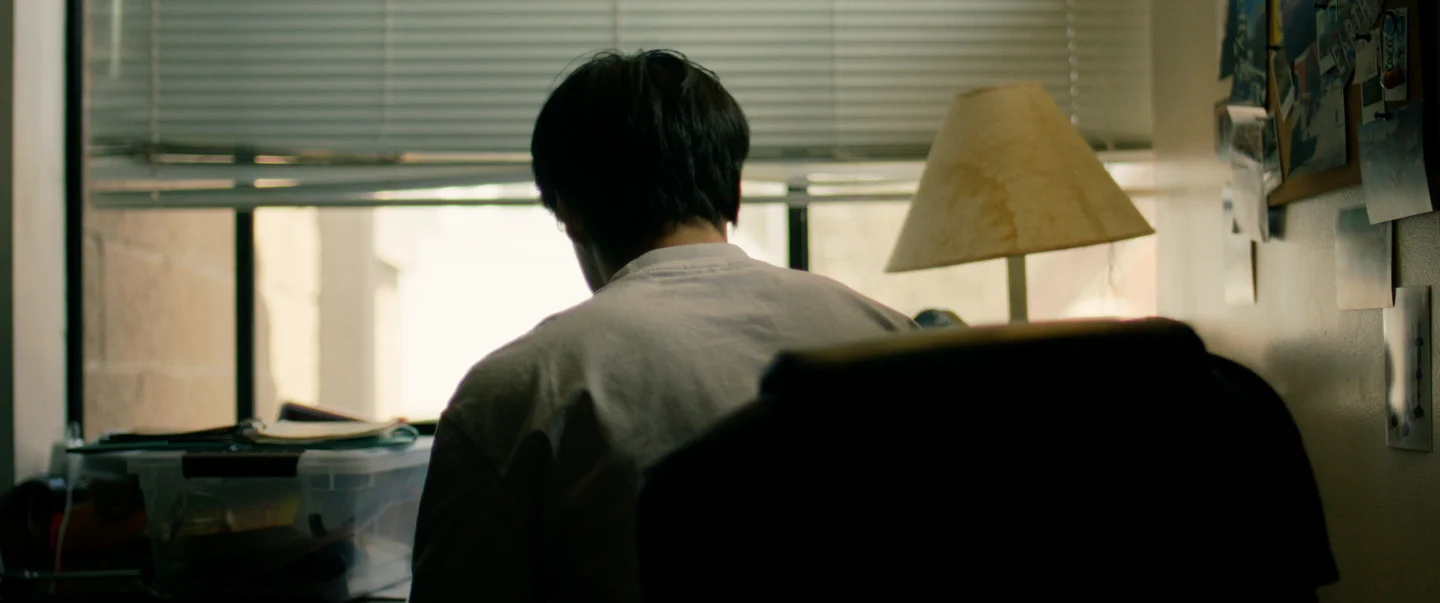 Zebra斑马 still